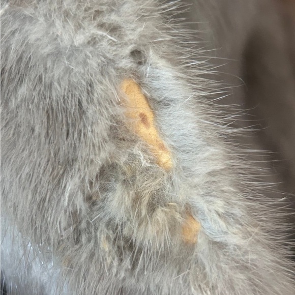 Vintage long gray mink coat sz small - Picture 11 of 11